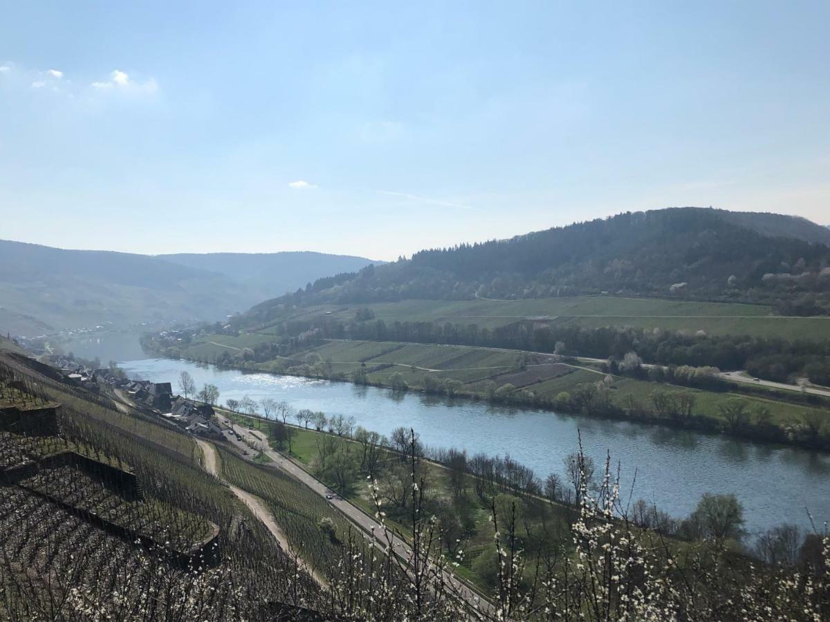 Ferienwohnung Eberhard Altes Winzerhaus Bullay Luaran gambar